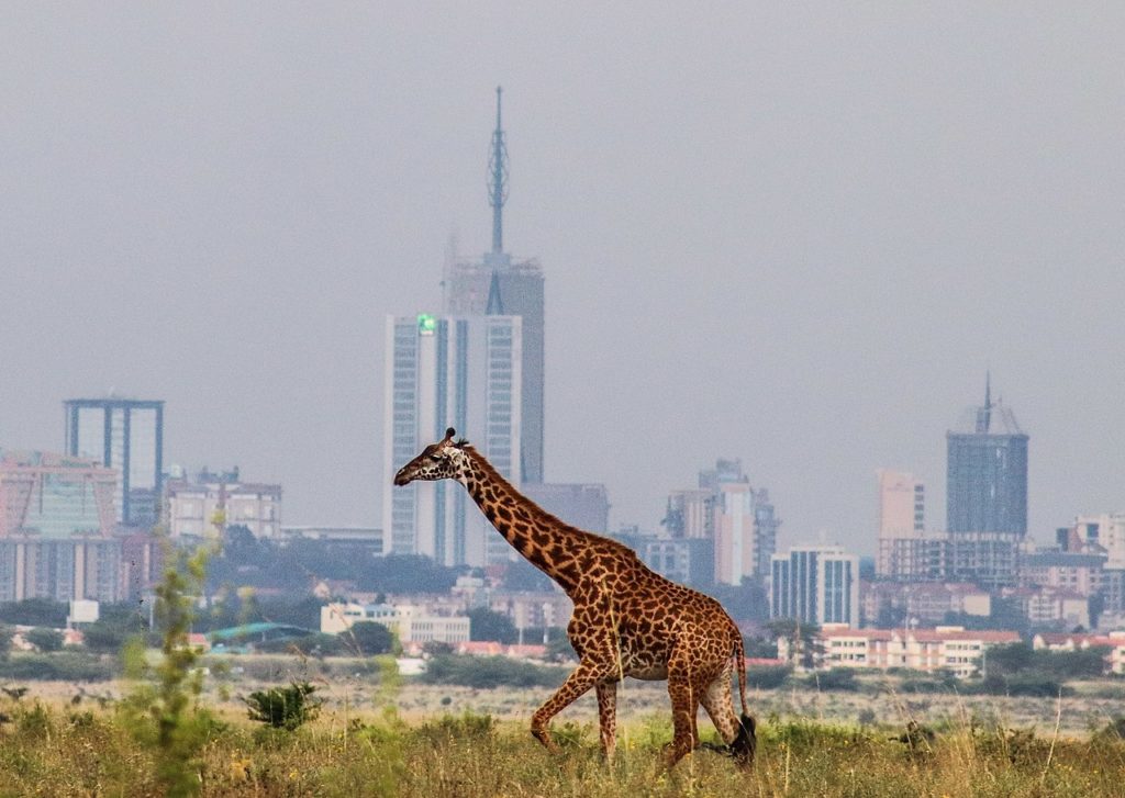 Nairobi National Park