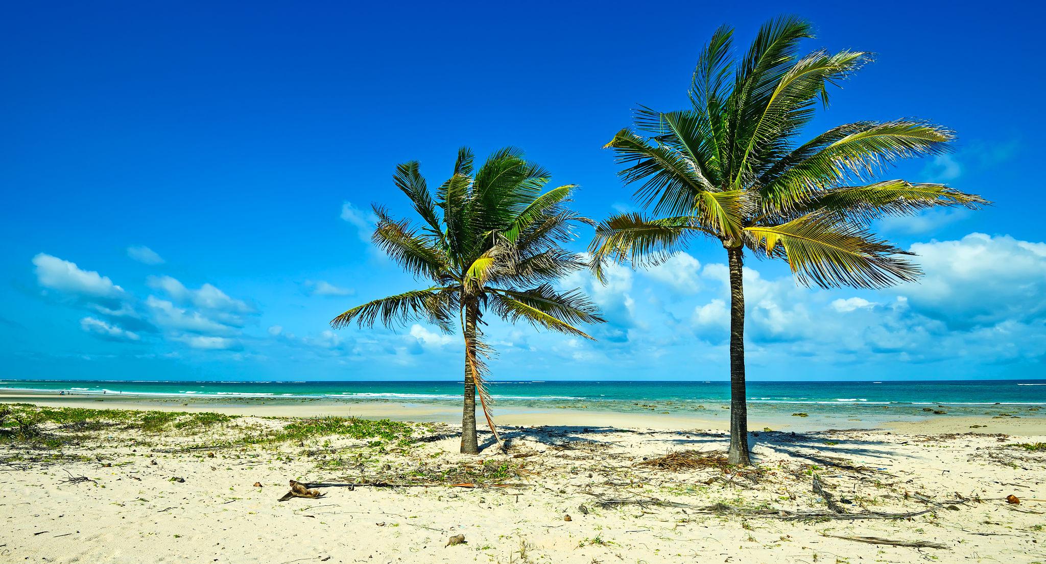 drcuRarTqdvIylrf-swmCI2A7alZmTzKt9aMoPuBSwdgUMD68YcJkY7rkagpPa7IwW4dcWmCDGdmYdKlqRDBRwUjtIGFa5Jxl_TGyaZeGeGxmcSgf15rzi4Jz1CBiBJHFk3QMoIrmWoIkxUJC3yaZa2mcIdIgSSQHI17tqc-SRBDThmnXjo7qRiXfnHWjU6W